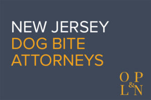 New Jersey dog bite lawyer